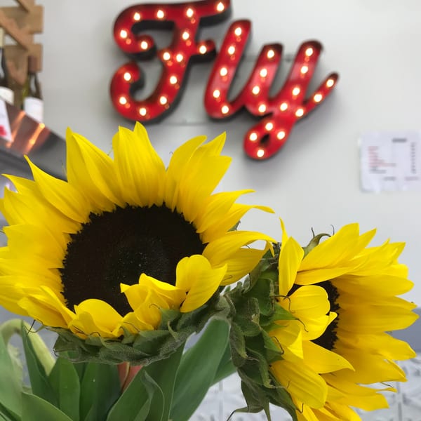 Bright yellow sunflowers in the foreground with a red "Fly" marquee sign in the background.